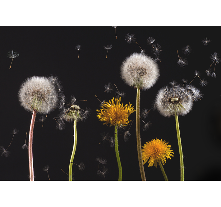 Rullgardin vardagsrum maskros natur - Tenstickers