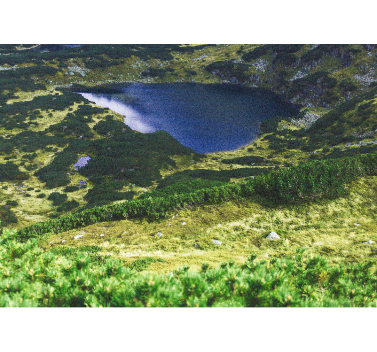 Rullgardin vardagsrum grön polska tatry - Tenstickers