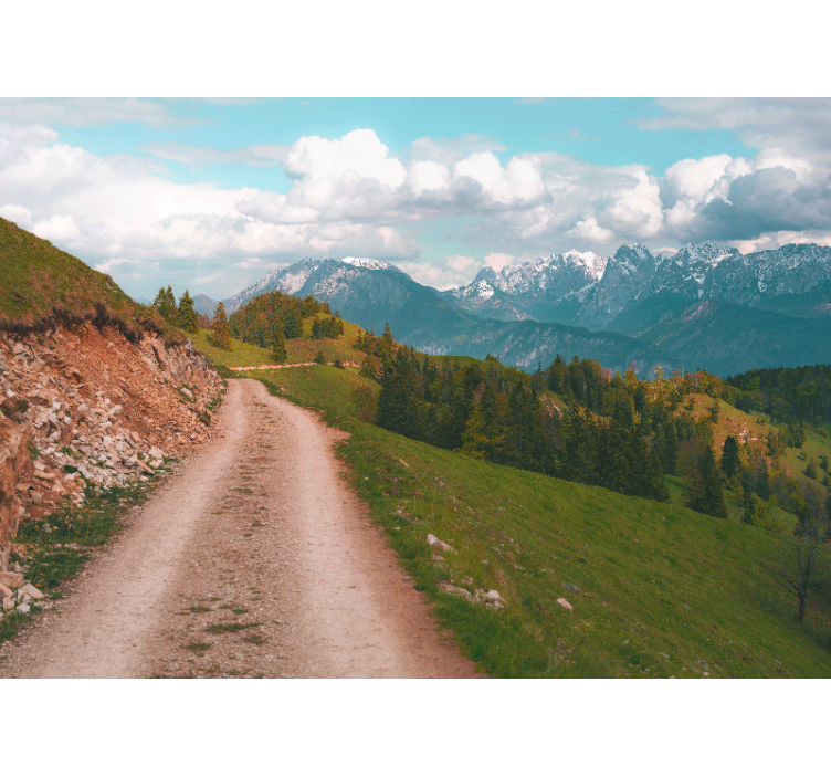 Rullgardin vardagsrum skogspromenad - Tenstickers