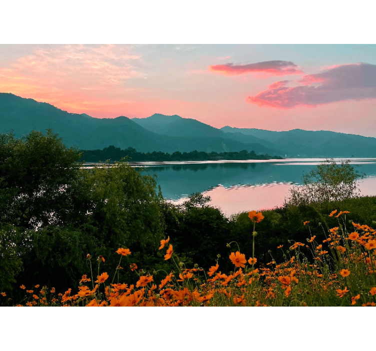 Rullgardin vardagsrum berg och savann - Tenstickers