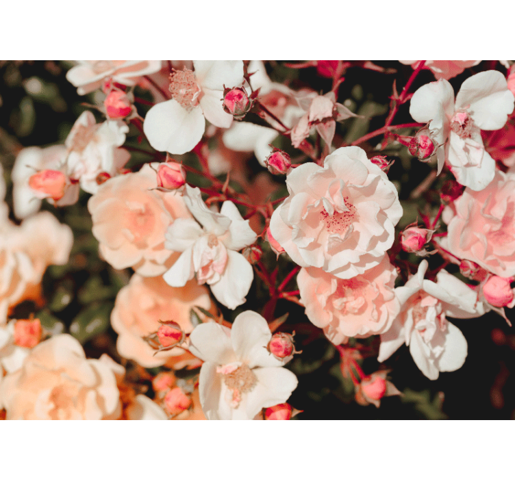 Rullgardin vardagsrum mycket blommor - Tenstickers