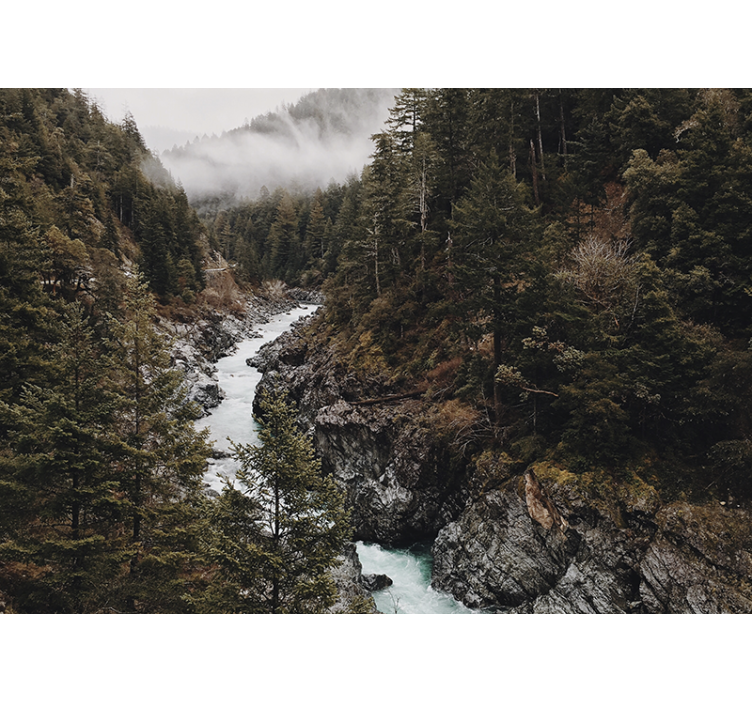 Rullgardin vardagsrum fuktig dimma med träd - Tenstickers