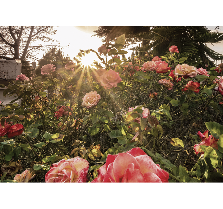 Rullgardin vardagsrum blommig lantlig kväll - Tenstickers