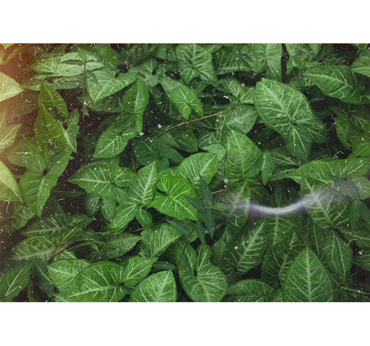 Rullgardin vardagsrum vackra soliga gröna blad - Tenstickers