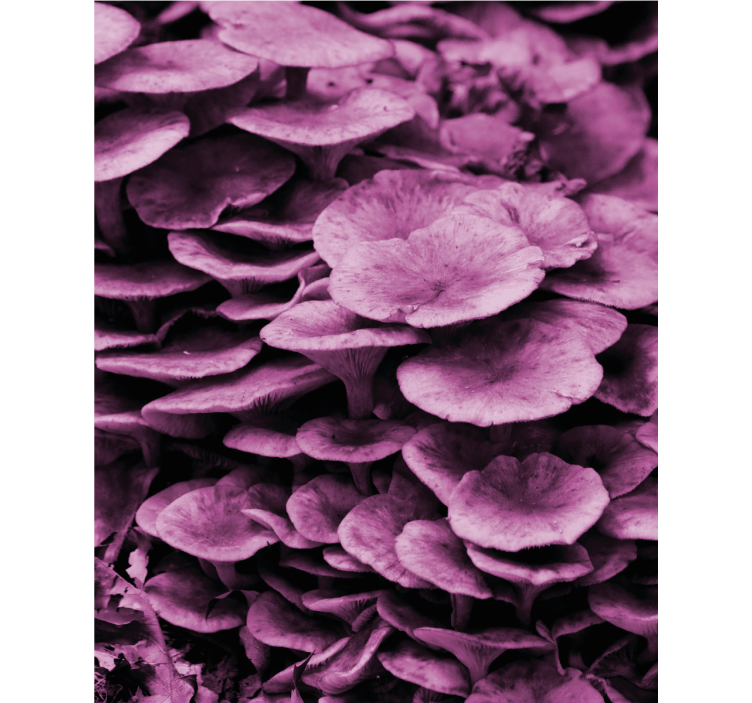 Levande blommiga lager Rullgardin blommor och växter - Tenstickers