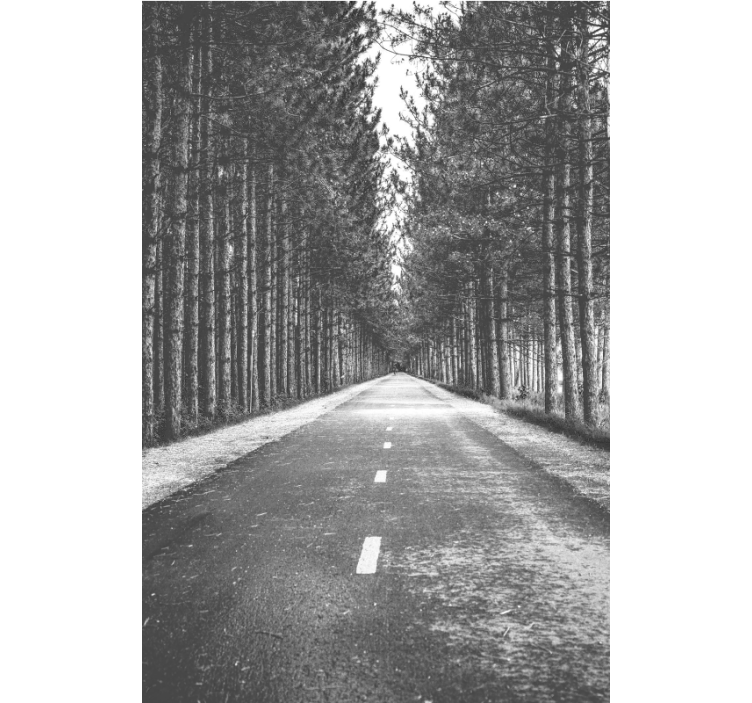 Fridfull skogsstig Andra persienner - Tenstickers