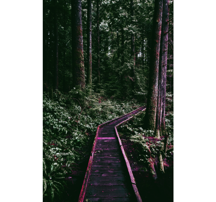 Rullgardin träd skogsstig - Tenstickers