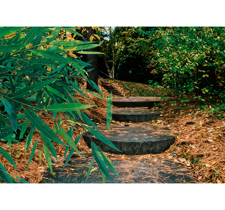 3d skog och liten väg original rullgardin - Tenstickers