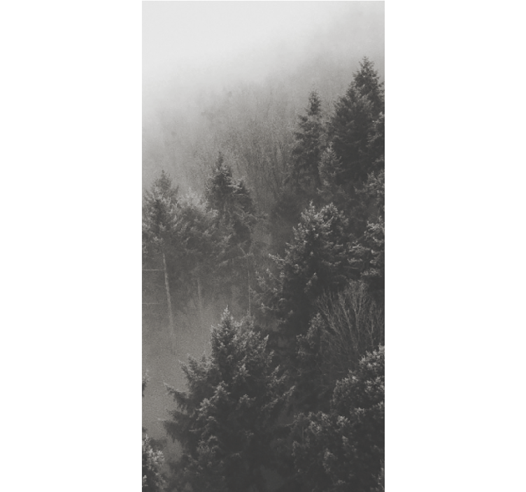 Skog med vita tallar original rullgardin - Tenstickers