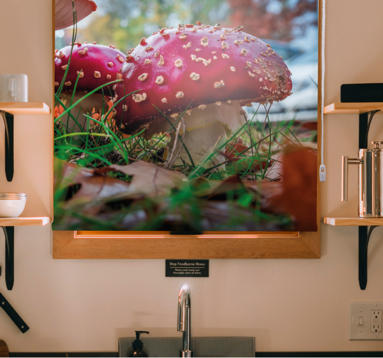 Livfulla röda svampar Rullgardin blommor och växter - Tenstickers