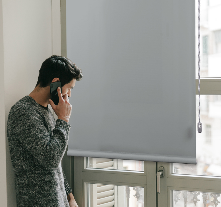 Pärlgrå färg vardagsrum rullgardin - Tenstickers
