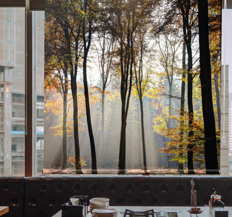 Solsken löv träd blommor och växt rullgardin - Tenstickers