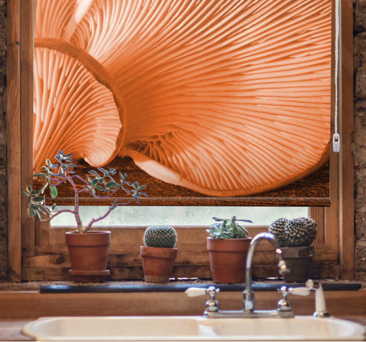 Svamp gälar närbild Rullgardin frukt och grönsaker - Tenstickers