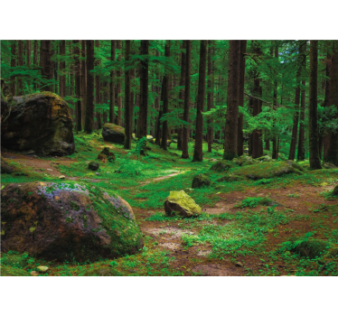 Rullgardin vardagsrum grön skog med träd - Tenstickers