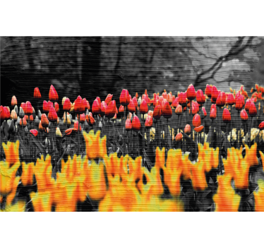 Olika blomsterfält rullgardin vardagsrum - Tenstickers