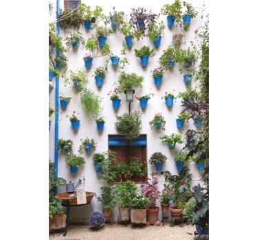 Rullgardin vardagsrum patio andaluz - Tenstickers
