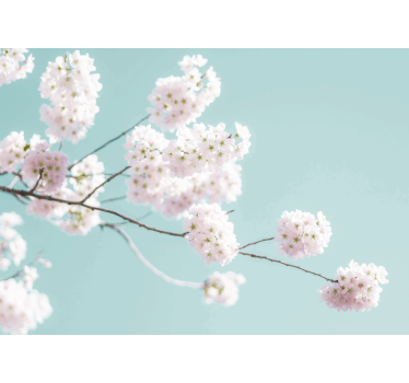 Rullgardin vardagsrum elegant och feminin vit blommönster - Tenstickers