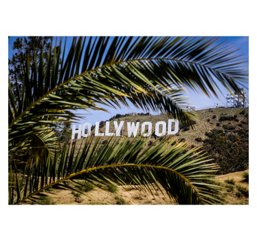 Rullgardin vardagsrum hollywoodskylten och trädet - Tenstickers