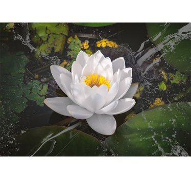 Rullgardin vardagsrum vit och gul lotus - Tenstickers