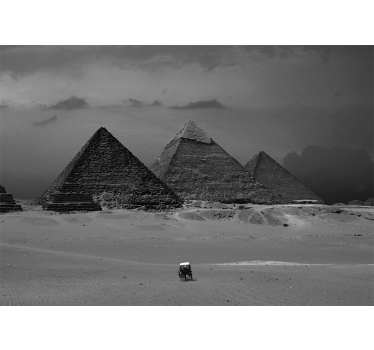 Rullgardin vardagsrum väggmålning pyramiderna i egypten - Tenstickers