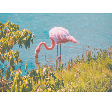 Rullgardin vardagsrum vacker flamingo vid vattnet - Tenstickers