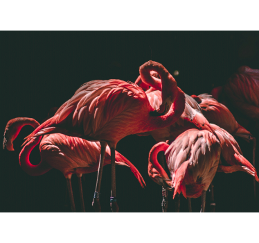 Rullgardin vardagsrum med ljusrosa flamingos - Tenstickers