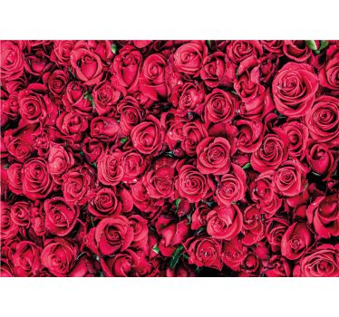 Rullgardin vardagsrum röda blommor med textur - Tenstickers