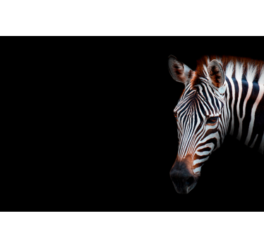 Zebra picture rullgardin vardagsrum - Tenstickers