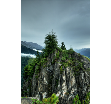Rullgardin vardagsrum ensam sten i grön skog - Tenstickers