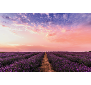 Rullgardin vardagsrum lavendelblommor i frankrike - Tenstickers
