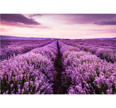 Rullgardin vardagsrum lila bild med blommor - Tenstickers