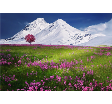 Rullgardin vardagsrum blommor i bergen - Tenstickers