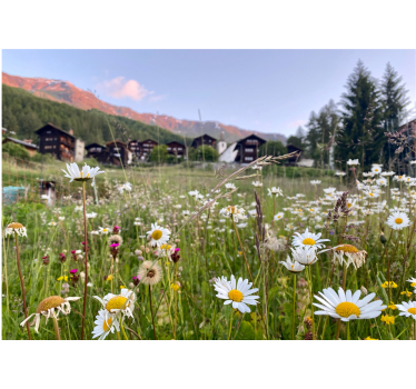 Rullgardin vardagsrum blommor landskap i bygd - Tenstickers