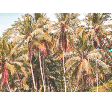 Grön palm i djungeln rullgardin vardagsrum - Tenstickers