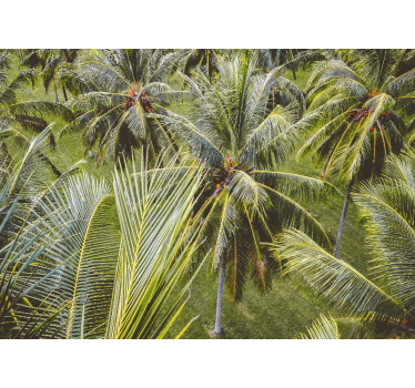 Rullgardin vardagsrum grön palmträdskog landskap - Tenstickers