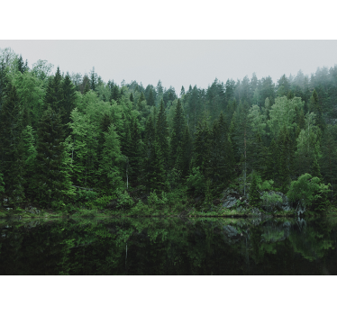 Rullgardin vardagsrum en skog vid sjön - Tenstickers