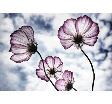Rullgardin vardagsrum elegant lila kosmosblomma design - Tenstickers