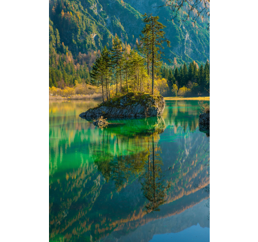 Reflekterad träd natur rullgardin - Tenstickers