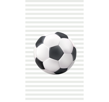 Vit och svart bollRullgardin fotboll - Tenstickers