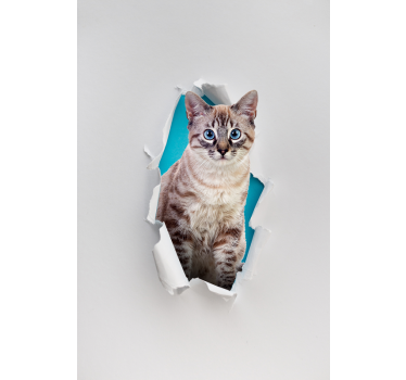 Kattdjur rullgardin - Tenstickers