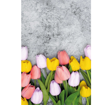 Olika tulpan blommor blomma rullgardin - Tenstickers