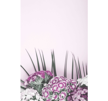 Turkiska kryddnejlikor blomma rullgardin - Tenstickers