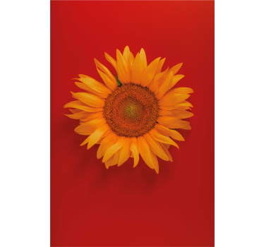 Röd orange solros blomma rullgardin - Tenstickers
