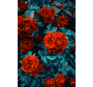 Röd nejlika blomma och blad blomma rullgardin - Tenstickers