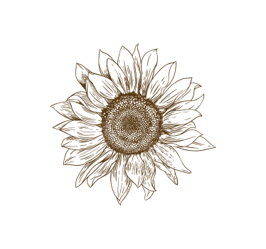 Illustration stor solros blomma rullgardin - Tenstickers