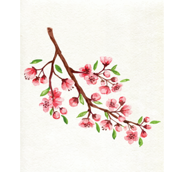 Akvarell rosa körsbärsblommor blomma rullgardin - Tenstickers