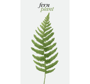Ormbunke växt minimalistisk vardagsrum rullgardin - Tenstickers