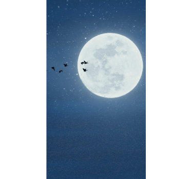 Fullmåne och himmel original rullgardin - Tenstickers