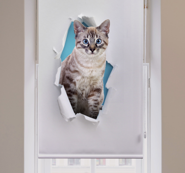 Kattdjur rullgardin - Tenstickers