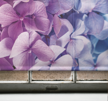Många olika hortensia blommor rullgardin - Tenstickers